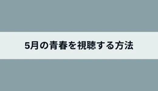 五月の青春を日本から視聴したい！どこで見られる？Netflixより安く見る方法と楽天VikiにおすすめのVPN